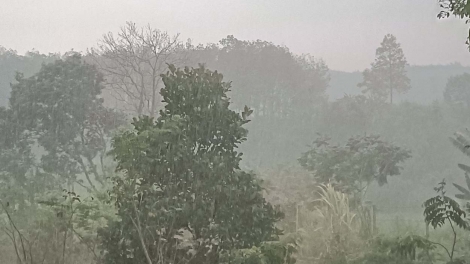 Kon Tum hơmâo hơjan hlâo rah jing ngă adai rơ-ơ̆ plai ƀiă pơ-iă hang 