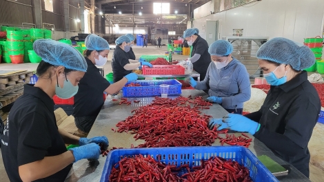 Uă hợp ták xã tàm Dăk Lăk lơh bal lơh gơlik, tac phan lơh gơs mờ mpồl lơh sa kă bro