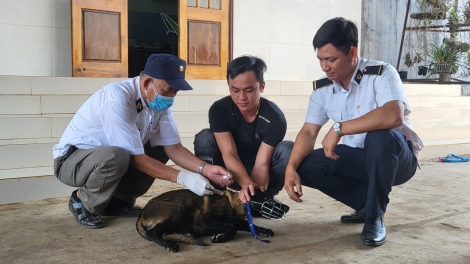 Kòp sơnrang tàm Tây Nguyên gơlik geh kal ke