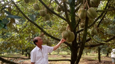 Dak Nông – Krĭng lăn mnga êa mơak Dhŭng Lăn Dăp Kngư 