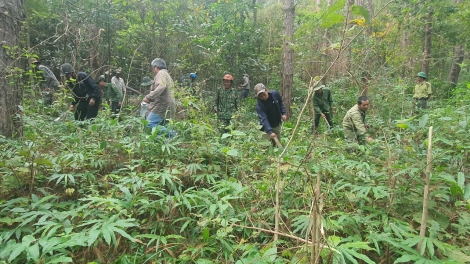 Gia Lai: N’hao nău dơn kan nsum mpôl tâm njrăng n’gang ŭnh sa bri