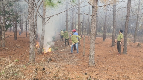 Gia Lai: Mđĭ hĭn buă klam hlăm yang ƀuôn hŏng bruă gang mkhư̆ klei pui ƀơ̆ng dliê