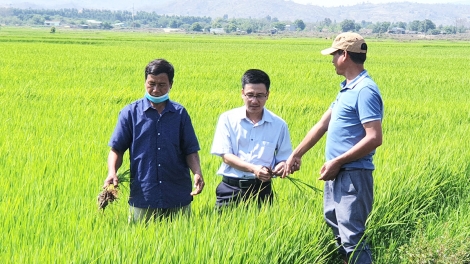 Xut tah hrâ mơnguâ kơtiê xơpá ing inâi “Phái Phú Thiện”