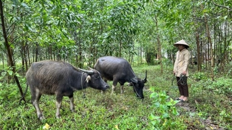 QUẢNG TRỊ K’RONG BHRỢ LẤH 188 TỶ ĐỒNG ĐOỌNG HA ZR’LỤ ĐHANUÔR ACOON CÓH LÂNG K’COONG CH’NGAI