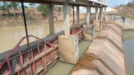 Kon Tum: Xúa têa tung rơchôa kơdĭng vâ tăng têa tôh ăm loăng plâi