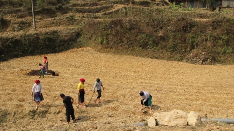 LUẬT K’TIẾC K’BUNH (BHR’LẬ): NHÂM MÂNG K’TIẾC ĐOỌNG HA ĐHANUÔR ACOON COH