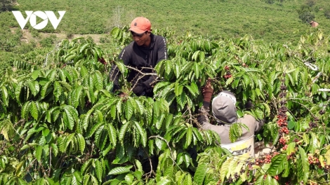 Ngă hiưm pă kiăng bĕ hĭ bruă “ƀong asar mơda-tla glăi tha”