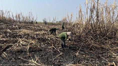 Mđiă hlơr ktang dôk hyưt kơ klei pui ƀơ̆ng dliê ti Gia Lai 