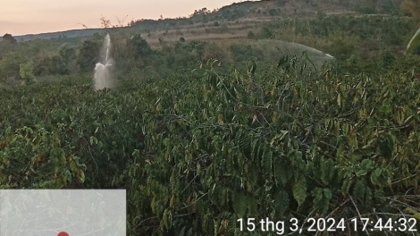 Leo dak tŏ kơl an tơm tăm tâm nkuăl tơm bah Dak Nông