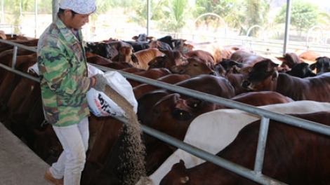 BÀ RỊA -VŨNG TÀU PADANG ANGAN RAONG GLANG