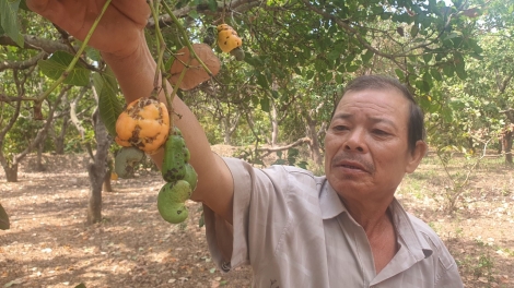 Oâ hdrong ƀă têa ngêa pro loăng hôt a Gia Lai ôh tá dâi