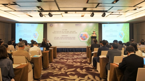 Tŏ tui anŏ hơmâo hăng tơlơi gal amăng ngă hmua kơplah wah dêh čar Việt Nam-Hàn Quốc 