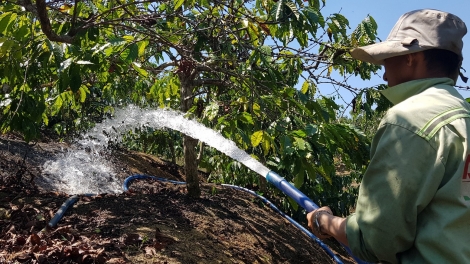 Tây Nguyên: Uă broă lơh rơcang sơrlèt mờ trồ prang ờ tơl dà