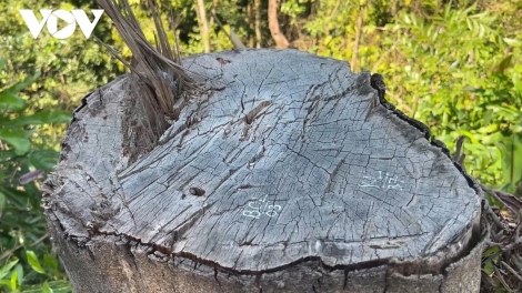 BHRỢ PA GHIT TRÁCH NHIỆM APÊÊ NGAI CRÊÊ TƯƠC BH’RỢ PA HƯ CRÂNG ĐHỊ CHR’HOONG TÂY GIANG, TỈNH QUẢNG NAM