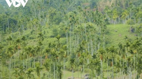 ZOOI PÂN ĐIL DA DING CA COONG PA DƯR PR’ẶT TR’MÔNG, PA XIÊR ĐHA RỰT ĐANH MÂNG