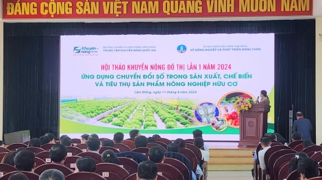 Ba yua ia rơgơi mrô pơtrut pơđĭ kyar hơđong kjăp bruă ngă hmua giăm plơi prong 