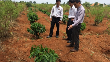 Càr Dăk Lăk geh tơl priă ai lơh sa, kă bro kơphe in