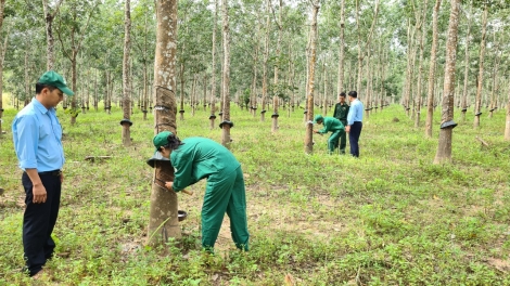 Hên tơdroăng pêi ki kơnâ tung Khế kŏng nhân 2024 a Gia Lai 