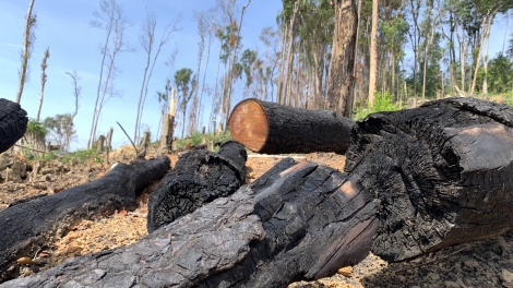 Lu alŭ wăl ti čar Dak Lak mâo klei arưp aram luč dliê