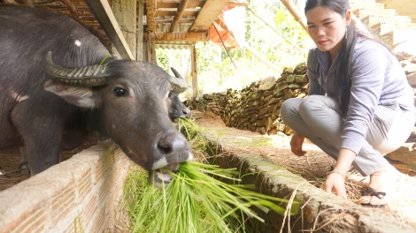 PÂN ĐIL BÍ THƯ CHI BỘ DZỢ P’NIÊN PRÁ XAY CHOOM, BHRỢ CHA CHOOM