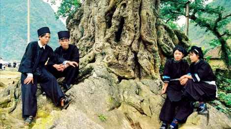 CHƯƠNG TRÌNH KHAY HENG TÀY- NÙNG  (Thứ Năm – Vằn 11/04/2024)