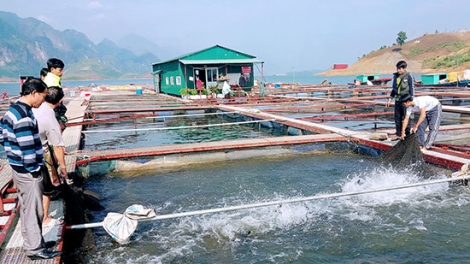 BẠI SLẮNG CẠ MỪA LIỆNG PJA XĂNG CHANG DOÒNG CHANG SLÌ CHIẾT HÍ MÌ LAI TỐI PIẾN