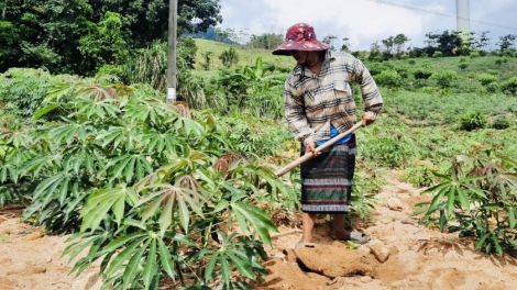 QUẢNG TRỊ: T’ĐUI ĐOỌNG K’TIẾC ẮT, K’TIẾC PA BHRỢ ĐOỌNG HA ĐHANUÔR ACOON COH