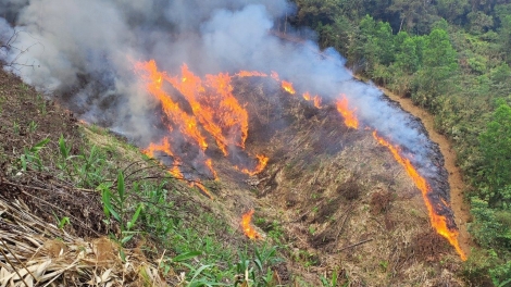 NAM GIANG CĂH ĐOỌNG ĐƯƠI OIH BHRỢ T’VAIH ĐHR’NĂNG ROOH CRÂNG COH CHR’HOONG