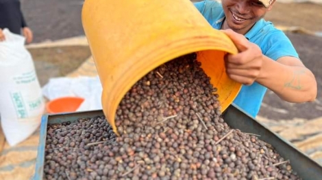  Ênoh kphê đĭ yuôm jing klei mtăp mđơr kơ ƀĭng ngă lŏ hma