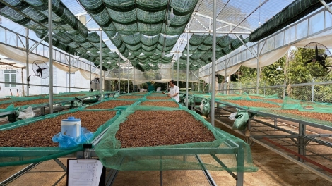 Kual Dap Kơdư ba sĭ gơnam pơ čar rơngiao đĭ biă, samơ̆ ăt dŏ gun bruă tuh pơ alin