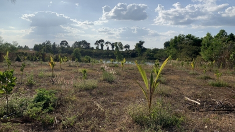 ĐONG NAM BO: YAOK RABAU HA PHUN PALA DAOK MBUAN SI KURANG IA
