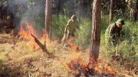 Dak Lak lu ênhă dliê huĭ srăng pui ƀơ̆ng 