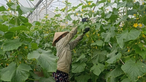 Dôm “đảng viên yŭk trong hơlau” tơ̆ tơring Đạ Nhim