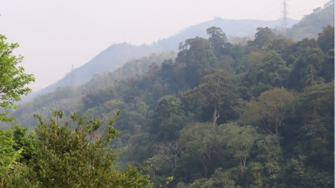 Mât ndray, ntik n’hao rnoh khlay lịch sử "Bri Đại tướng Võ Nguyên Giáp"