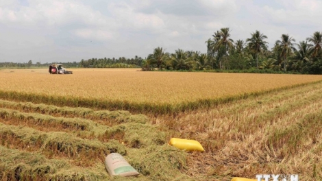 DAONG URANG NONG NGAK KAYA MEDA ANGAOK BHUM TANEH PALEI TRA VINH