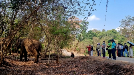 Sền lòt nhơl đềt mềr mờ rơ was tàm Brê dà lơgar Yok Đôn