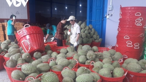 ពត៌មាន​ម៉ោង១៥