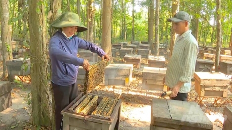 RAONG 300 THUNG DANKO, MEK 30 TẤN AIA DANKO, LABA 500 TRIỆU ĐỒNG