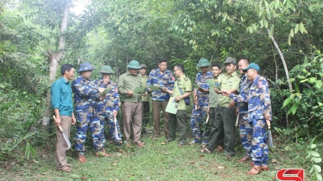 Ngon tô thứ  mự 31 bườn 5 pì 2024 –   Khừn ngơn phảu đù pá, pảy chự chự pá