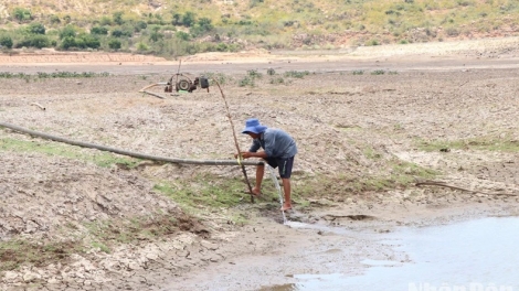 BHAP BINI NINH THUAN CAGA PACANG PANDIAK BHANG, TUA RIYA