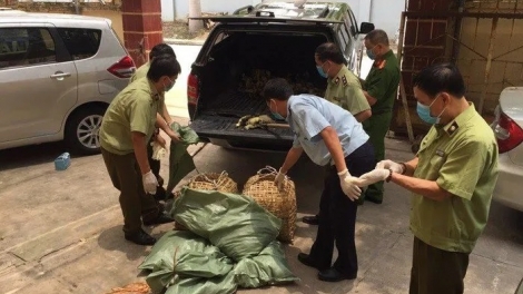 LANGYAH CATANG DOM BRUK BLEI TAME DAUK PAJAIH ATHUR RAONG