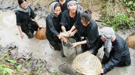 ពត៌មាន​ម៉ោង១៥