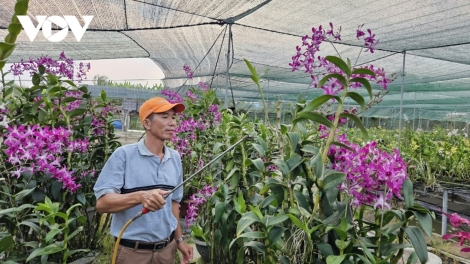 URANG NGAK NONG TP.HCM GAOK KAN KANDAH YAOM LAC BA HU “DARAK MAI HAONG BEIN”