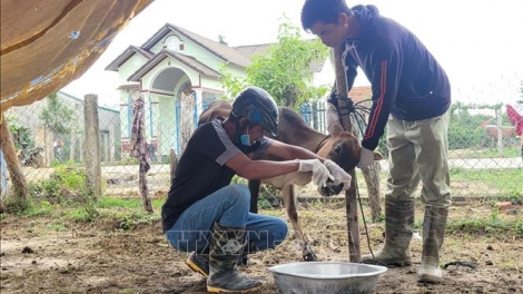 PR’LUH BHIH BUUNH BOÓP TR’PLOÓC CHR’COOP VÊY CƠNH TRƠƠI K’RƠ COH GIA LAI