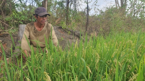 Hờm ram bơh ƀlàng sre kòi tiah nhàr lơgar 