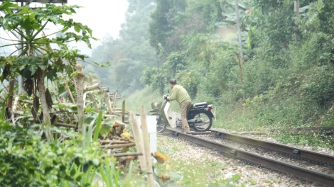 Tuôr jông đas jos chiê uô nênhx hur siêz hnuz 22-5-2024