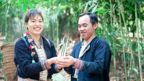 Hai tỉnh Lào Cai, Sơn La và Chính phủ Australia khởi động giai đoạn hai Dự án GREAT