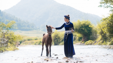 SLI, LƯỢN HANG TUẦN XO 5 BƯƠN 5 PI 2024