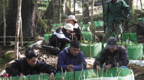 Kon Tum hơtŏk tơiung kơhrĕng tơdrong jang pơm tơplih đon tơchĕng, trong jang đơ̆ng kon pơlei kon kông