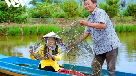 ការអភិវឌ្ឍព្រៃឈើប្រកបដោយនិរន្ដរភាពនៅ Cà Mau ។